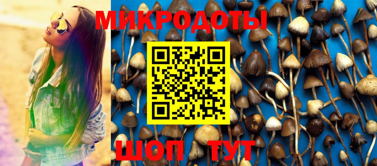 сколько стоит  Вход с VPN  Аша  Галлюциногенные грибы Magic Shrooms 