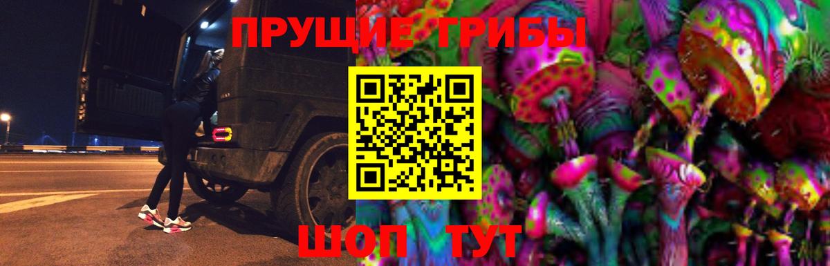Псилоцибиновые грибы Psilocybe Аша